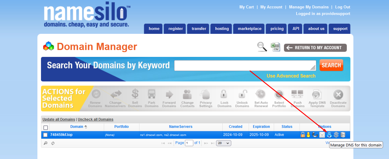 Screenshot of a NameSilo domain management page